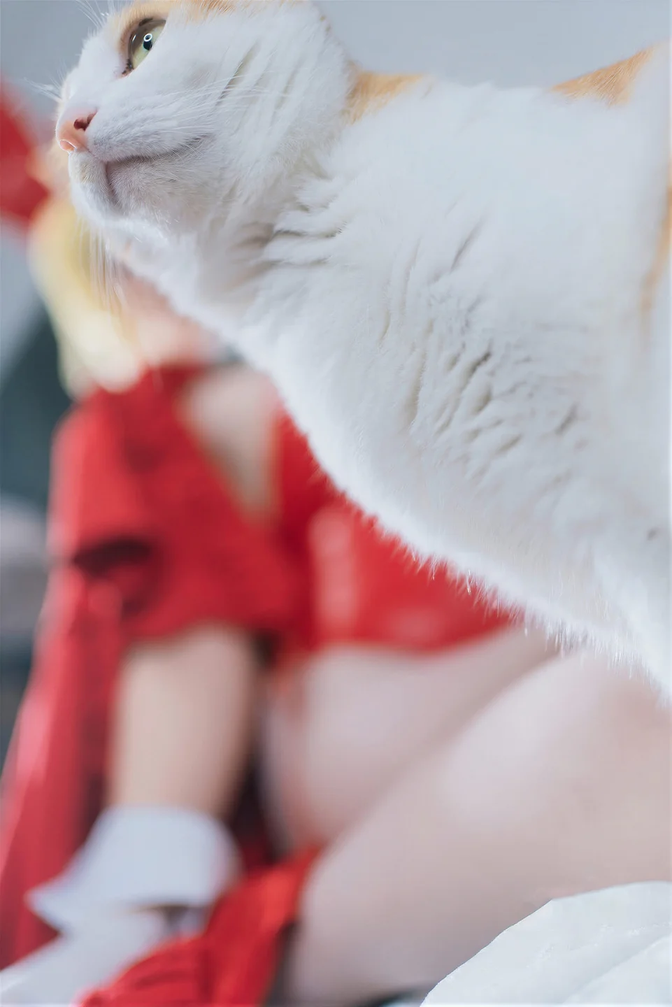 阿半今天很开心_No_046_Fate_圣诞节_尼禄_71P_1_01GB tg@simisebaisi 【丝足阁】027.webp